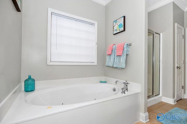 111 Christy Drive, Madison, AL 35758