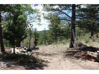 1 Golconda Mine Rd, Central City, CO 80427