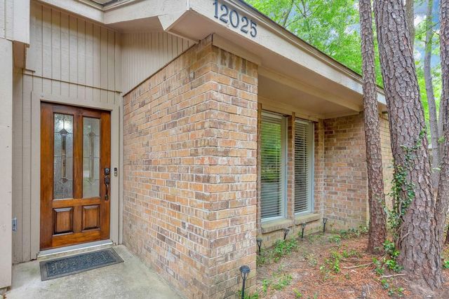 12025 Acorn Oak Street, The Woodlands, TX 77380