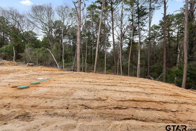 345 Perdanales Dr, Bullard, TX 75757