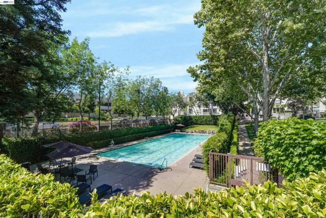 20488 Stevens Creek Blvd 2302, Cupertino, CA 95014