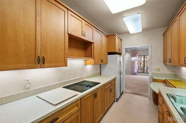 564 Sarah Lane 408, St Louis, MO 63141