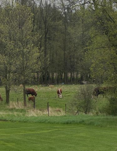 248 Ratta Road, Chazy, NY 12921