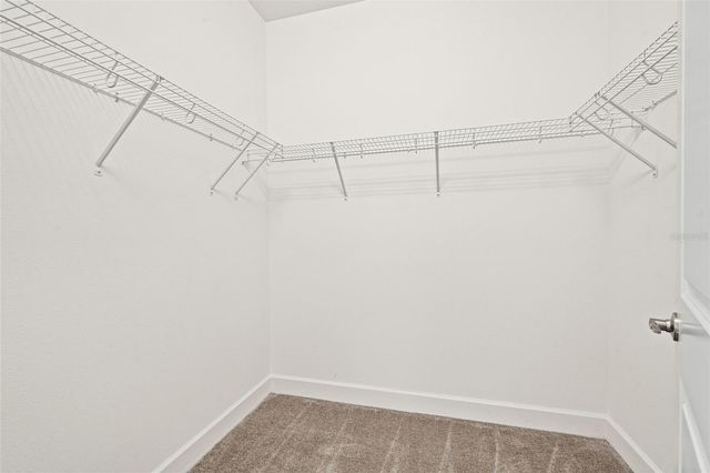 32208 ROSEWOOD MEADOW LANE, Wesley Chapel, FL 33543