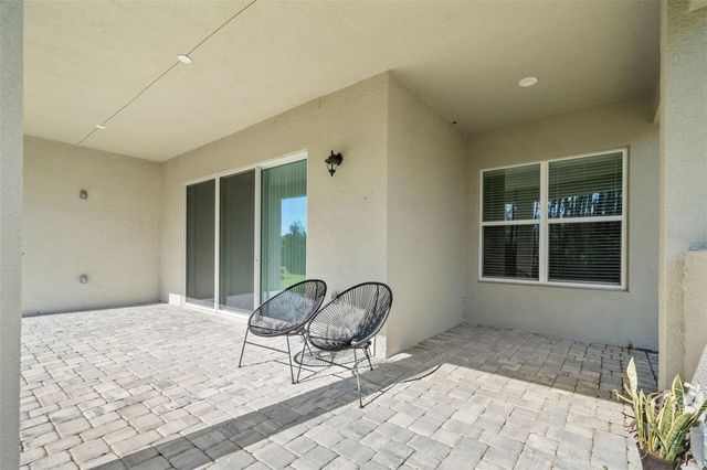 32208 ROSEWOOD MEADOW LANE, Wesley Chapel, FL 33543