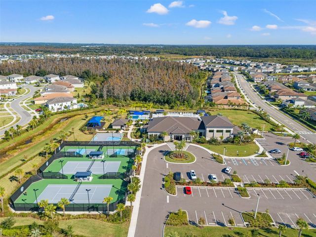 32208 ROSEWOOD MEADOW LANE, Wesley Chapel, FL 33543