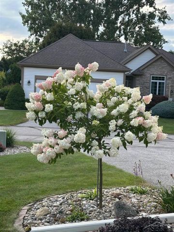 5603 Firethorne Drive, Monitor Twp, MI 48706