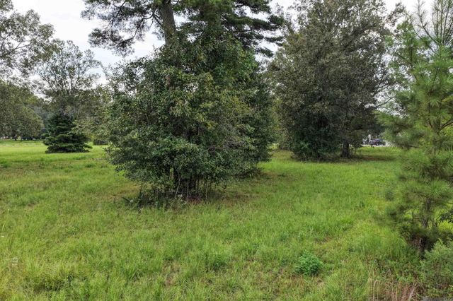 11103 Buddy Ellis Rd, Denham Springs, LA 70726
