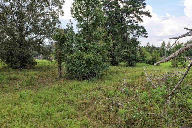 11103 Buddy Ellis Rd, Denham Springs, LA 70726