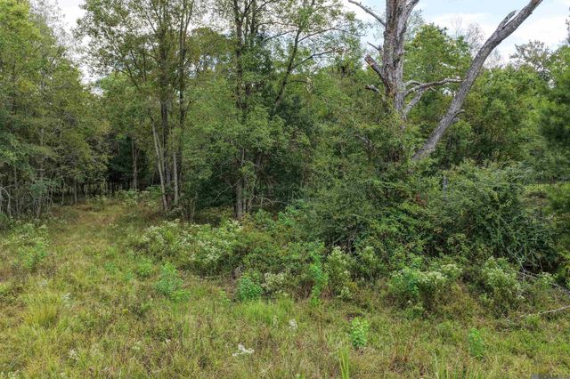 11103 Buddy Ellis Rd, Denham Springs, LA 70726