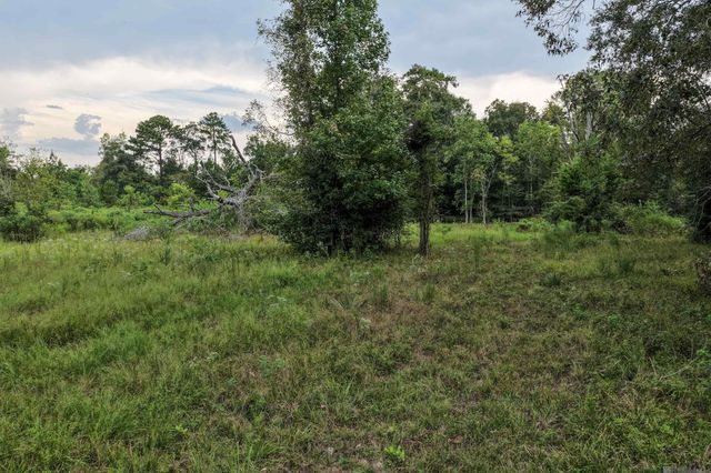 11103 Buddy Ellis Rd, Denham Springs, LA 70726