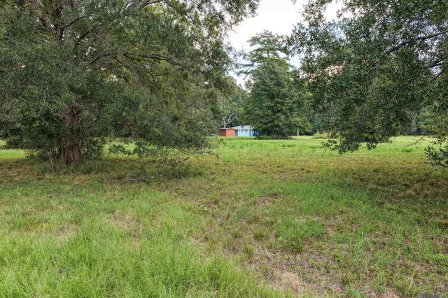 11103 Buddy Ellis Rd, Denham Springs, LA 70726