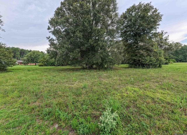 11103 Buddy Ellis Rd, Denham Springs, LA 70726