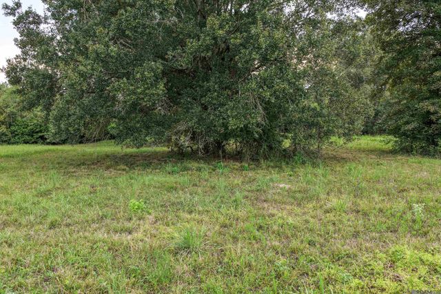 11103 Buddy Ellis Rd, Denham Springs, LA 70726