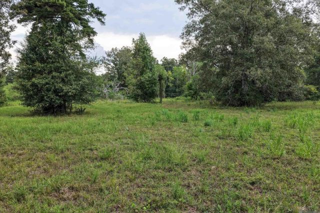 11103 Buddy Ellis Rd, Denham Springs, LA 70726