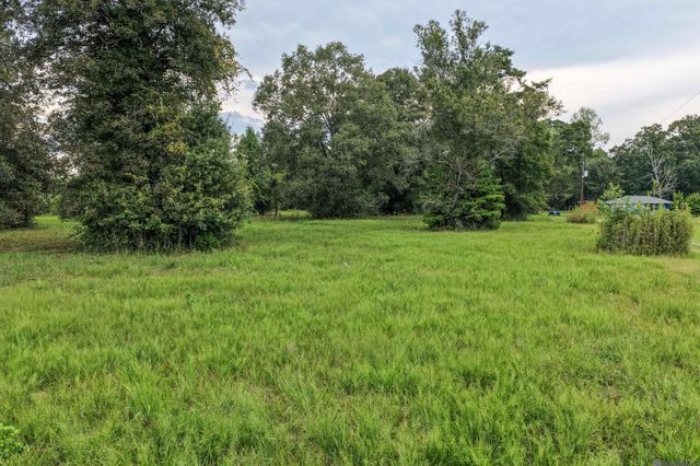 11103 Buddy Ellis Rd, Denham Springs, LA 70726