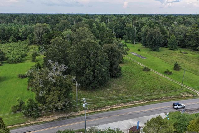 11103 Buddy Ellis Rd, Denham Springs, LA 70726