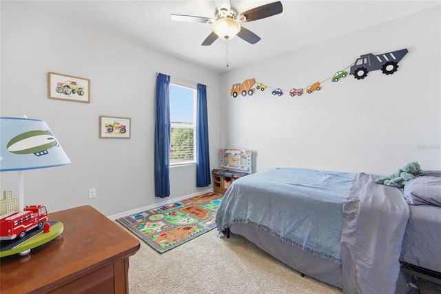 2557 SHAMROCK STREET, Tavares, FL 32778