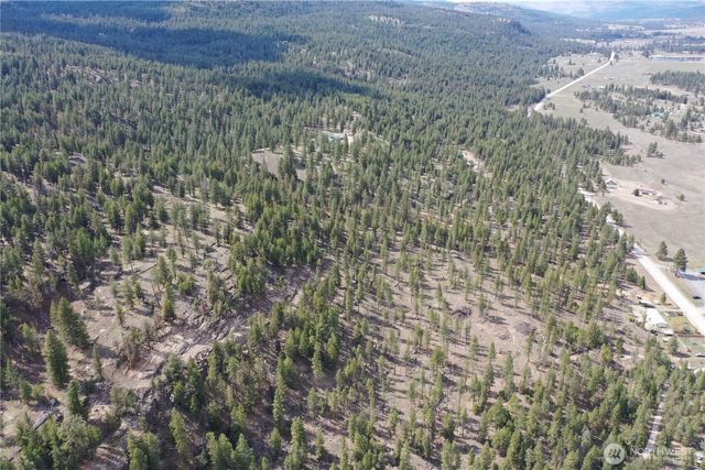 722 Aeneas Valley Road, Tonasket, WA 98855