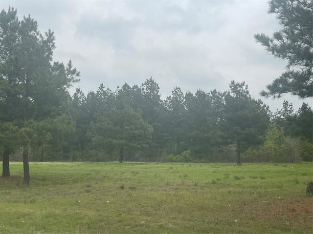 TBD County Road 446, Lindale, TX 75771