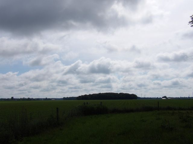 11500 N State, Bethany Twp, MI 48880