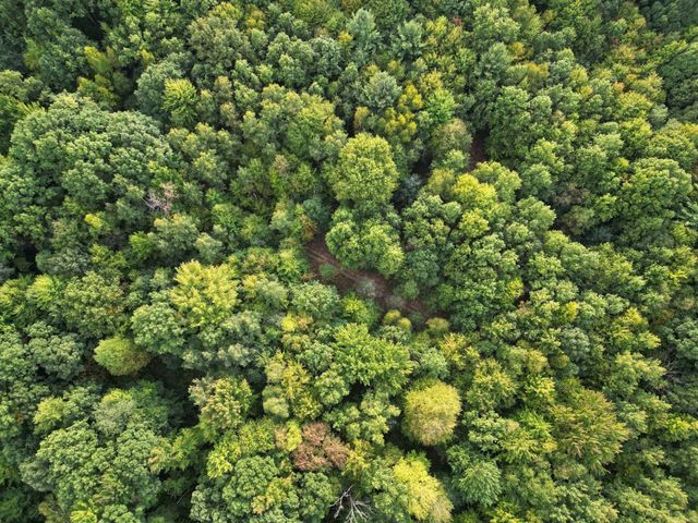 11348 Duffield Road, Montrose Twp, MI 48415