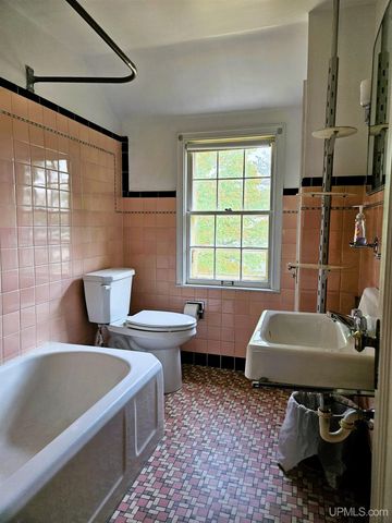 206 E Iron Street, Bessemer, MI 49911