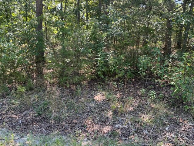 124 Valley Drive, Holiday Island, AR 72631