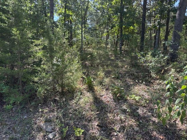 124 Valley Drive, Holiday Island, AR 72631