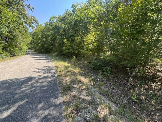 124 Valley Drive, Holiday Island, AR 72631