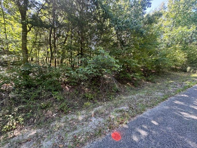 124 Valley Drive, Holiday Island, AR 72631