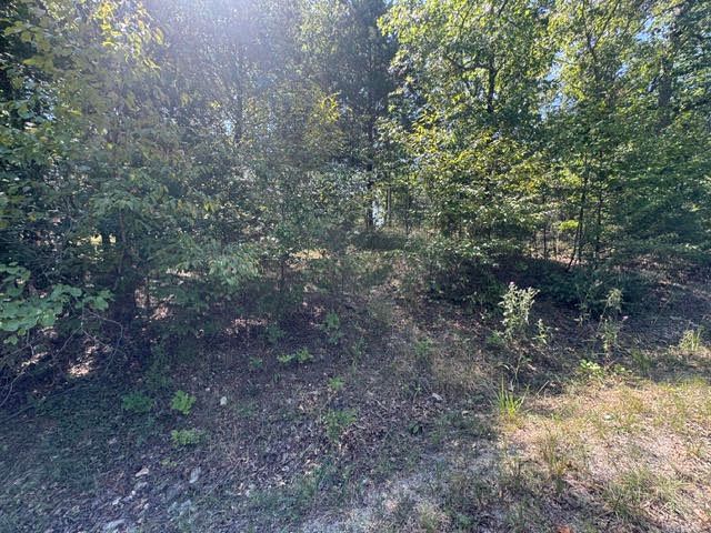 124 Valley Drive, Holiday Island, AR 72631