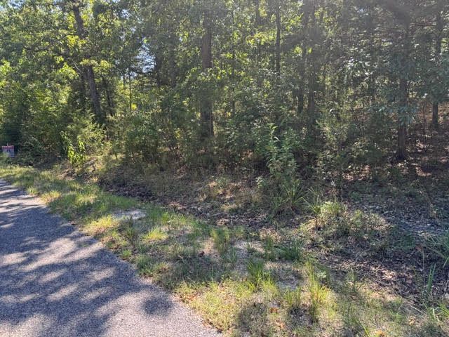 124 Valley Drive, Holiday Island, AR 72631