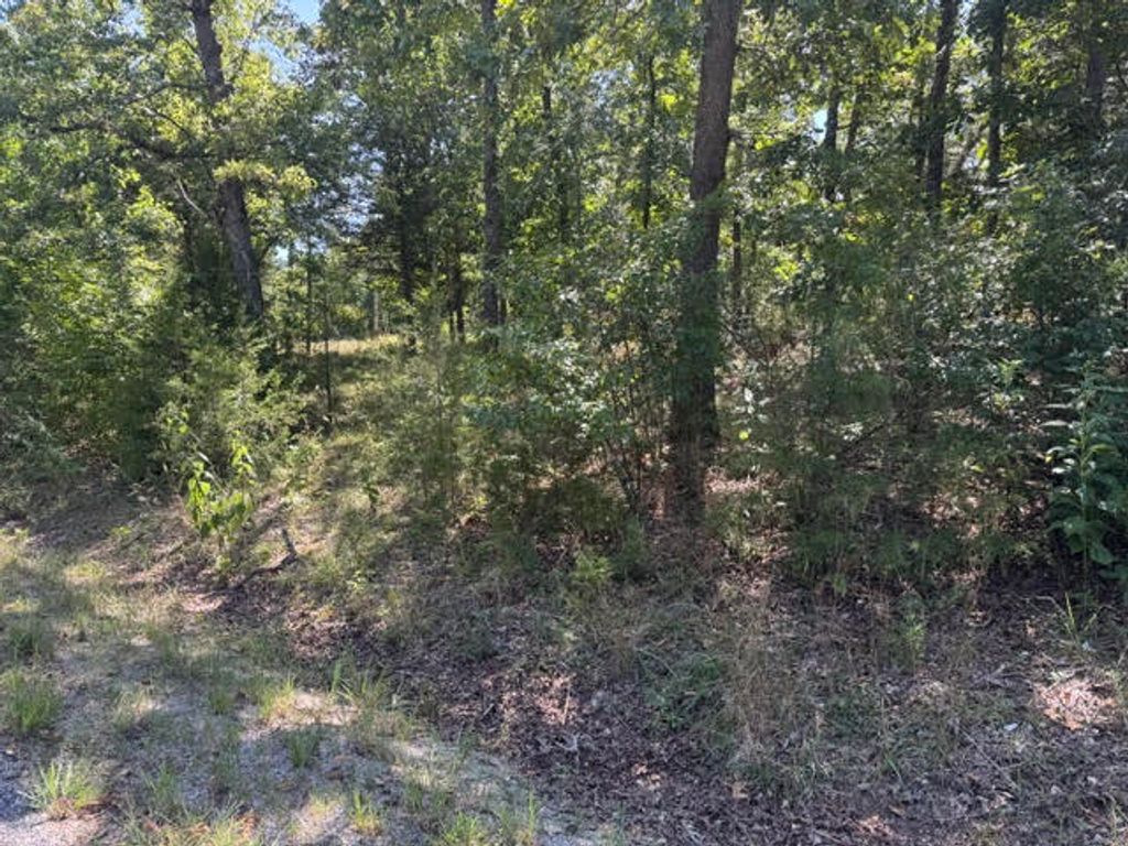 124 Valley Drive, Holiday Island, AR 72631