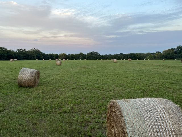 60 Ribbonwood Trail, Collinsville, TX 76233