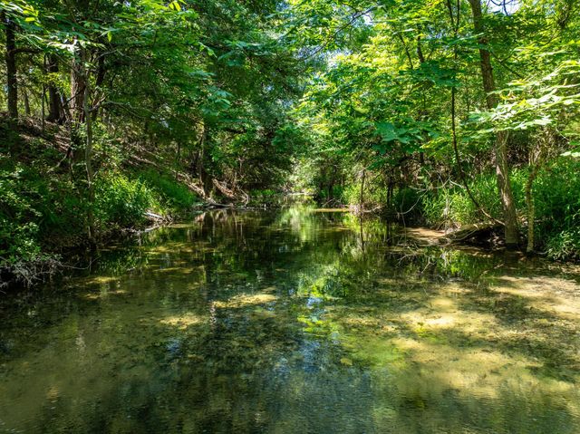 132 McNaughton DR, Liberty Hill, TX 78642