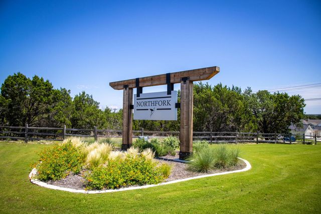 132 McNaughton DR, Liberty Hill, TX 78642
