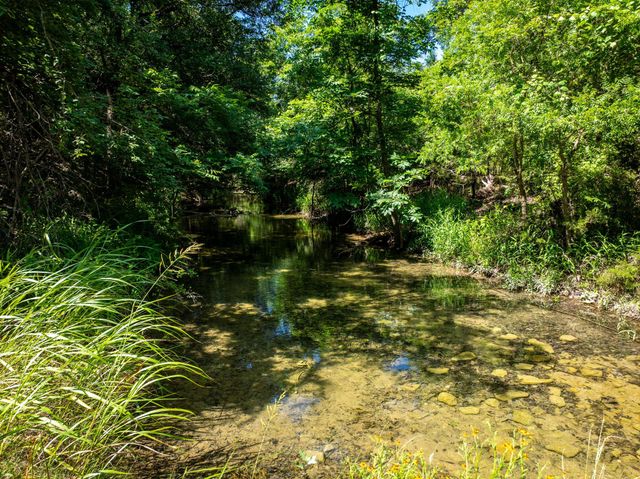 132 McNaughton DR, Liberty Hill, TX 78642