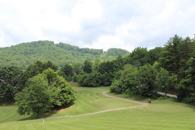 Lot 133A Mountain Harbour Drive, Hayesville, NC 28904