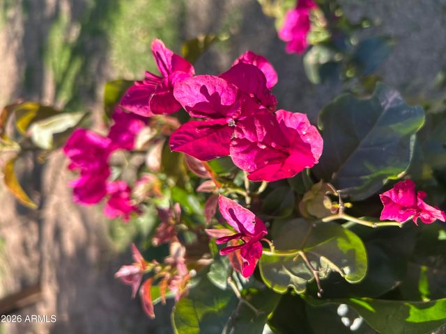 14049 N 153RD Drive, Surprise, AZ 85379