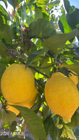 14049 N 153RD Drive, Surprise, AZ 85379