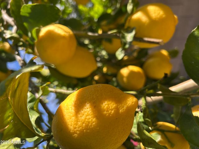 14049 N 153RD Drive, Surprise, AZ 85379