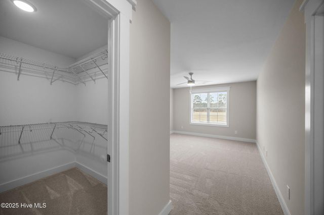 109 Lady O Drive B, Greenville, NC 27834