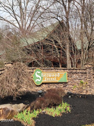 4408 Forest Vista Way, Pigeon Forge, TN 37863