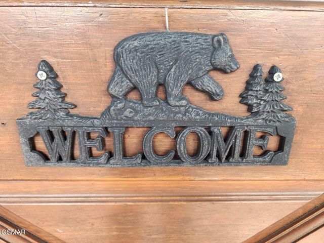 4408 Forest Vista Way, Pigeon Forge, TN 37863