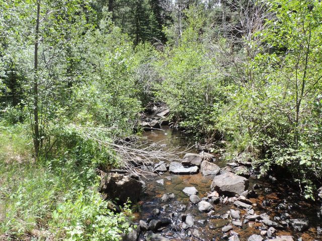 2300 Red Ashby Rd, Livermore, CO 80536