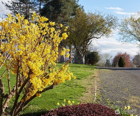 3115 Brisbane Dr, Walla Walla, WA 99362