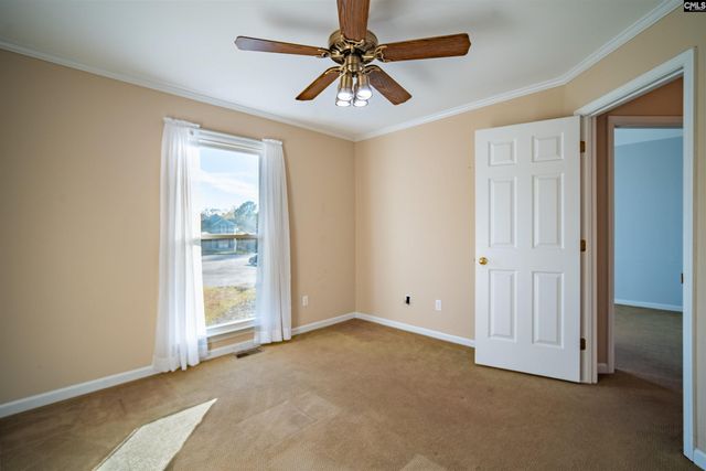 3 Tattlers Court, Irmo, SC 29063