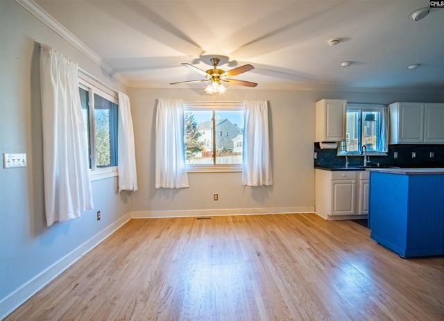 3 Tattlers Court, Irmo, SC 29063