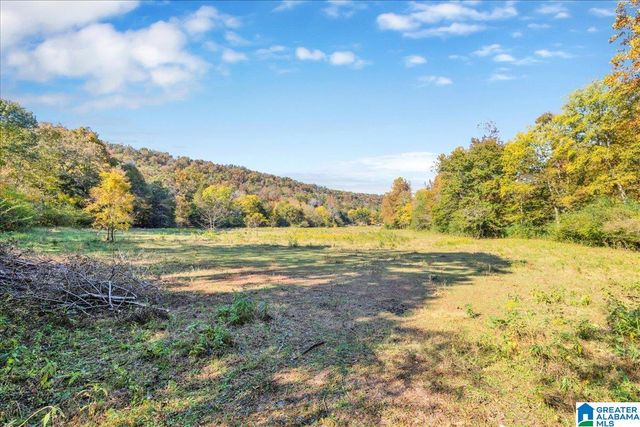1215 RED VALLEY ROAD, Remlap, AL 35133